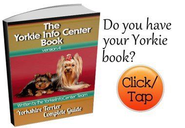 Crate training 2024 a yorkie